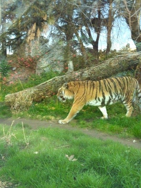 Bioparco di Roma